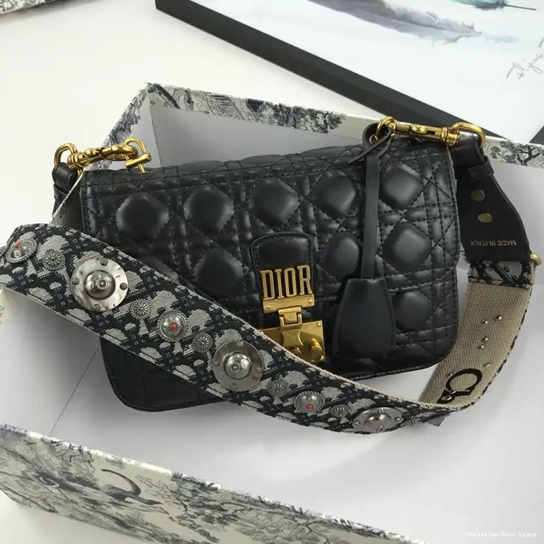 Cannage Lambskin Bag Dioraddict Black 0611 Luxury